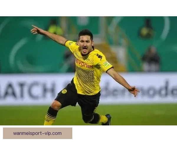 内尔高：失利不改斗志球队仍全力冲击双冠荣誉