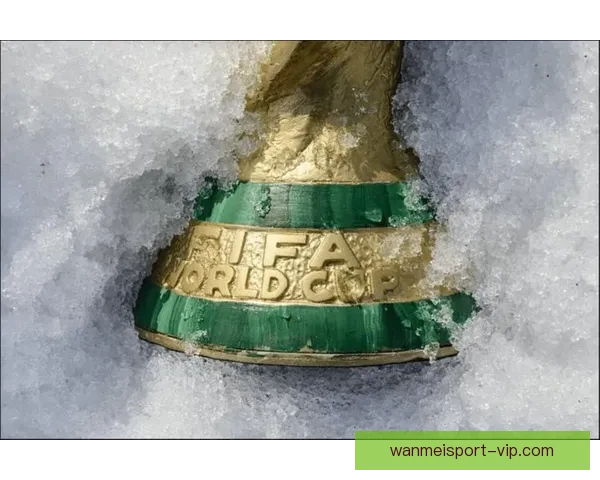 世界杯竞猜游戏网站全面指南与投注技巧解析助你赢取精彩赛事大奖